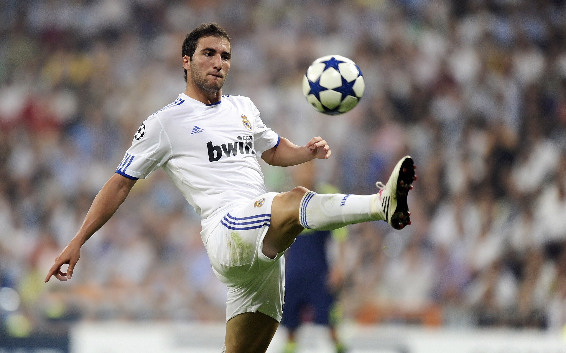 萨默·麦金托什决赛表现获教练高度评价,麦金托什是谁